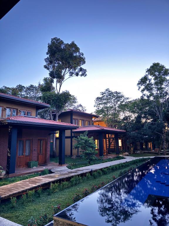 Forest Views