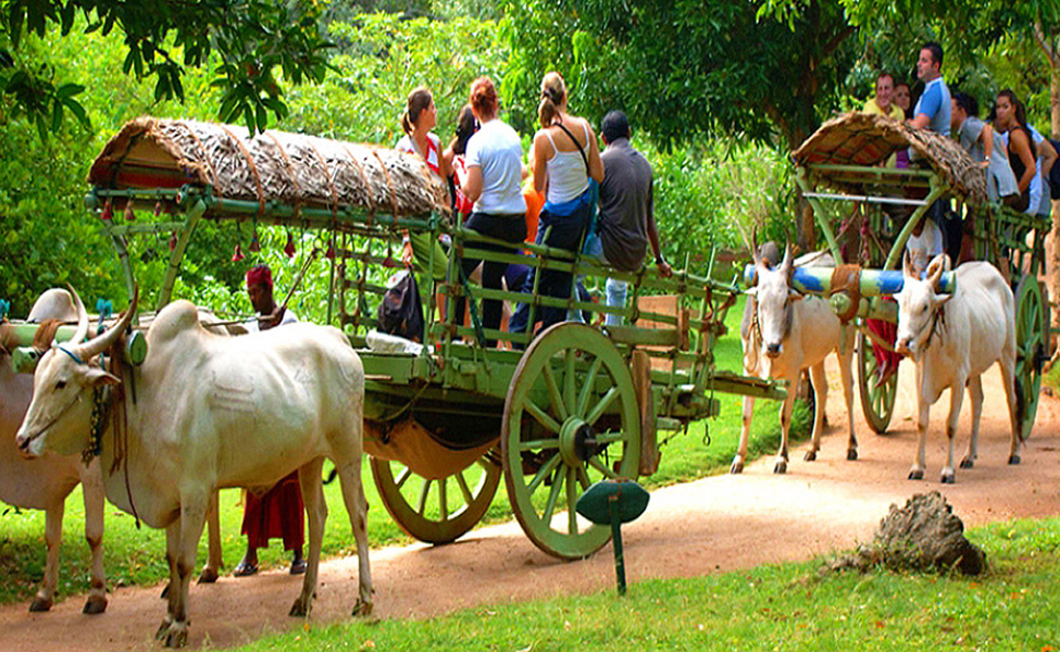 Village Experiences
